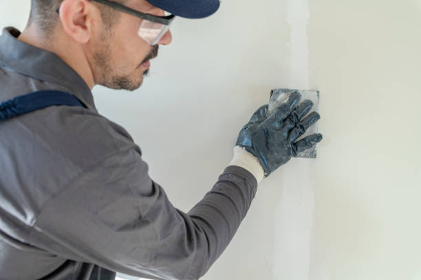 Best Mold Prevention Services  in USA